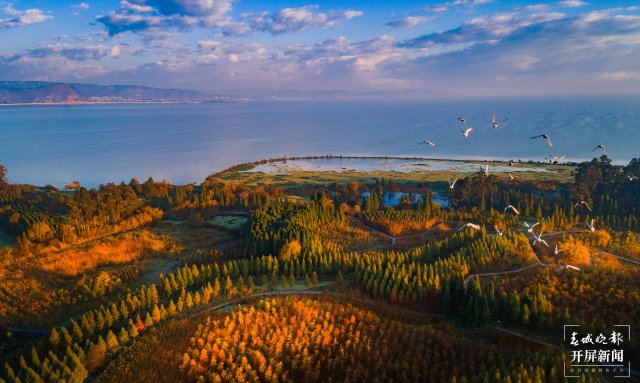 昆明晉寧：五年嬗變新畫卷