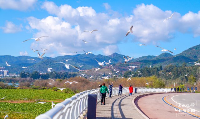 昆明晉寧：五年嬗變新畫卷