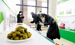 3971645126293199 3971645126293199