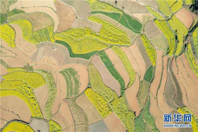 1310470975_16448291912751n 1310470975_16448291912751n