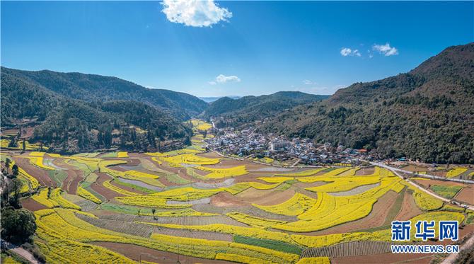 1310470975_16448291915281n 1310470975_16448291915281n