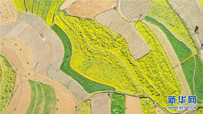 1310470975_16448291916271n 1310470975_16448291916271n