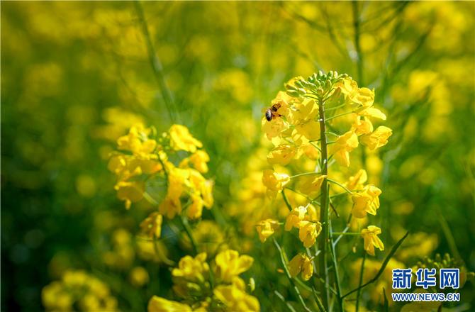 1310470975_16448291917751n 1310470975_16448291917751n