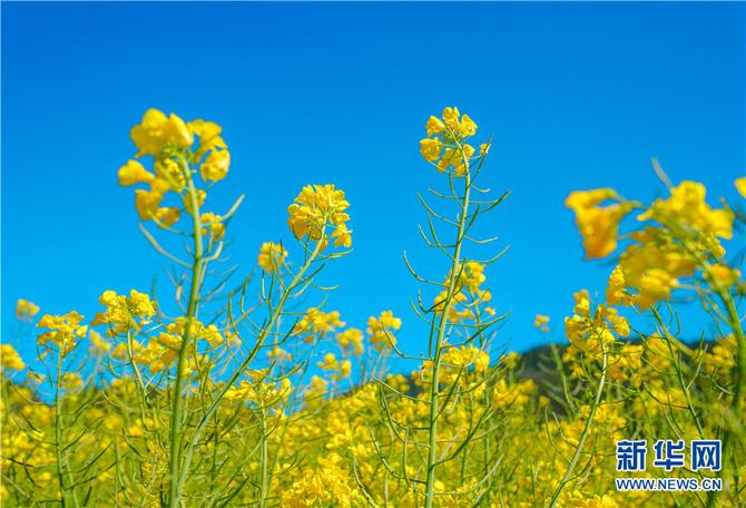 1310470975_16448291920451n 1310470975_16448291920451n