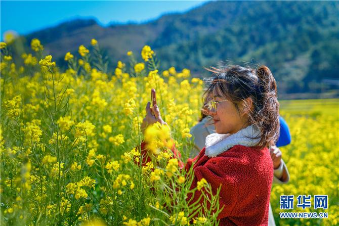 1310470975_16448291923371n 1310470975_16448291923371n