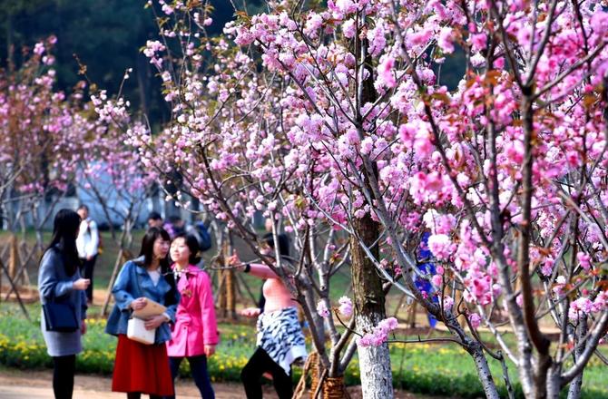 8844c56a3a9ec164541361587180105510 8844c56a3a9ec164541361587180105510