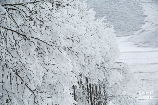 美出天際！昭通大山包保護區(qū)現(xiàn)霧凇景觀，現(xiàn)場很震撼...