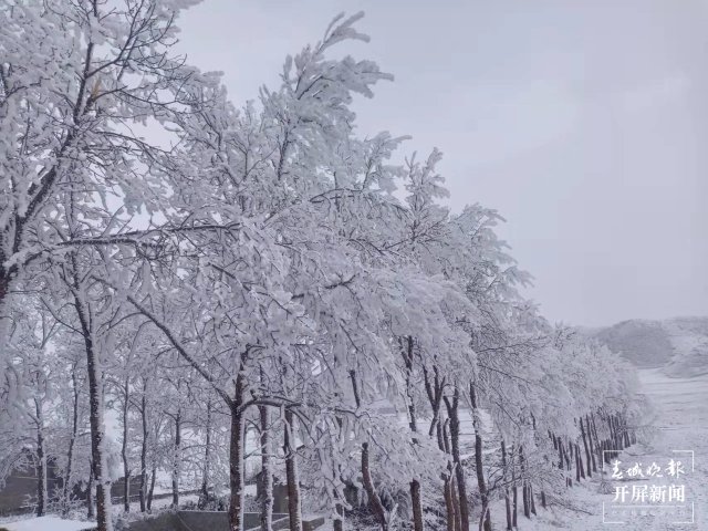 美出天際！昭通大山包保護區(qū)現(xiàn)霧凇景觀，現(xiàn)場很震撼...