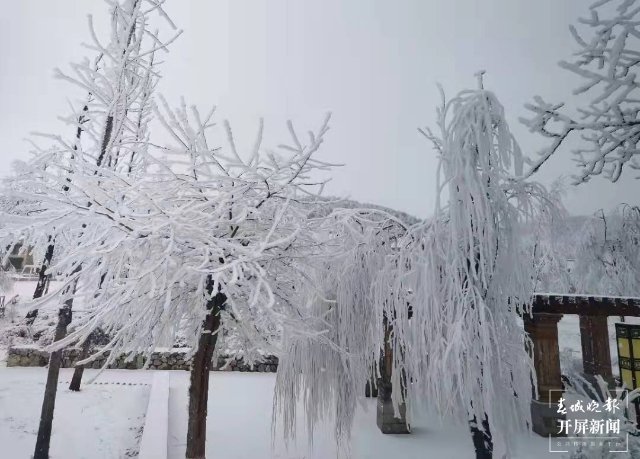 美出天際！昭通大山包保護區(qū)現(xiàn)霧凇景觀，現(xiàn)場很震撼...