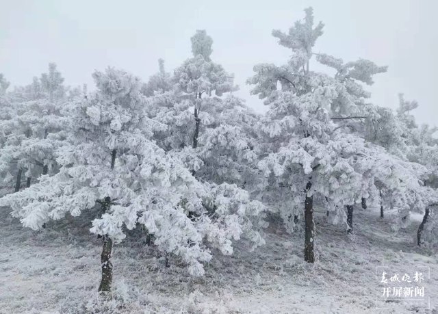 美出天際！昭通大山包保護區(qū)現(xiàn)霧凇景觀，現(xiàn)場很震撼...
