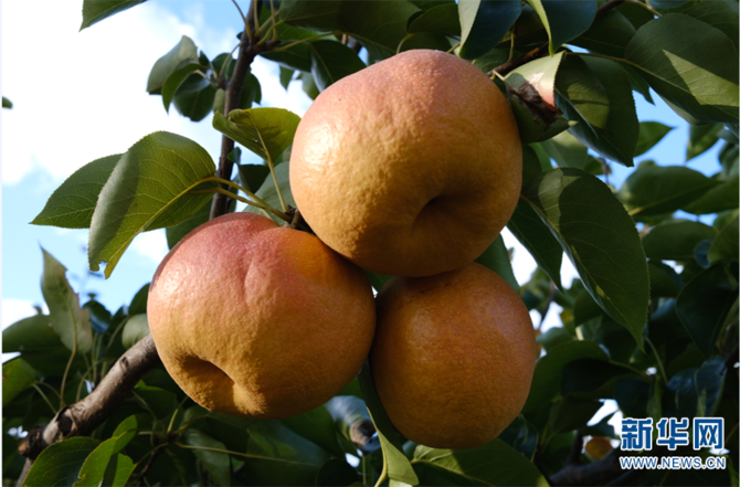 1310479286_16452592807101n 1310479286_16452592807101n