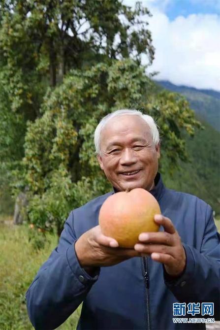 1310479286_16452592810601n 1310479286_16452592810601n