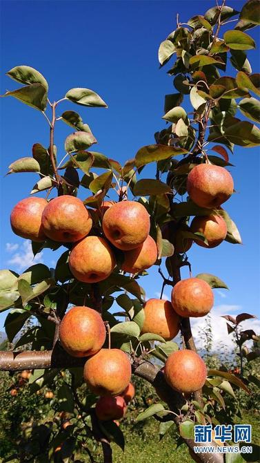 1310479286_16452592810931n 1310479286_16452592810931n