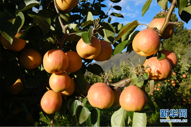 1310479286_16452592811231n 1310479286_16452592811231n