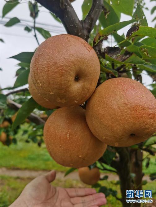 1310479286_16452592814881n 1310479286_16452592814881n