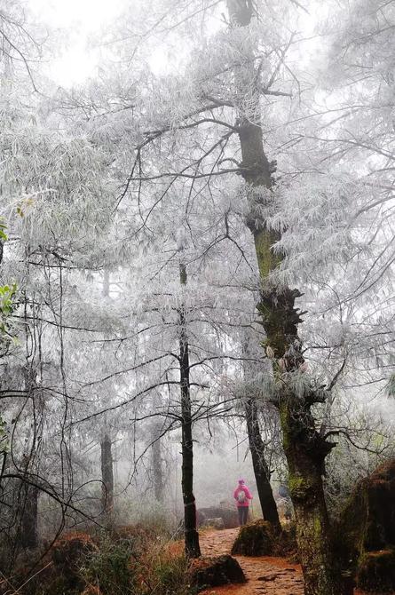 微信圖片_20220222114824