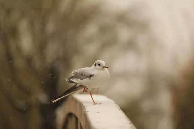 微信圖片_20220222152332 微信圖片_20220222152332