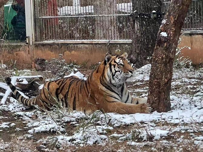 微信圖片_20220222152642 微信圖片_20220222152642