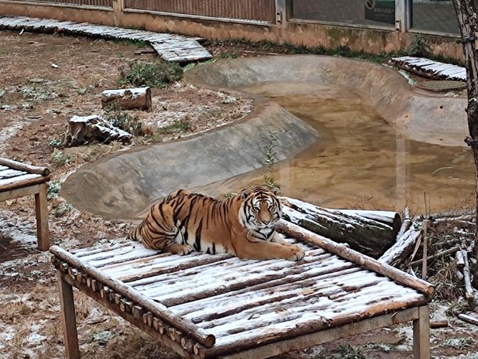 微信圖片_20220222152711 微信圖片_20220222152711