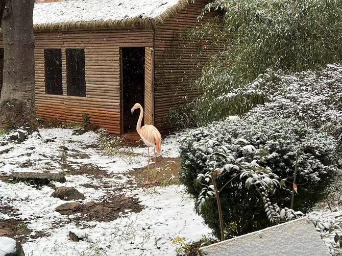 微信圖片_20220222152720 微信圖片_20220222152720