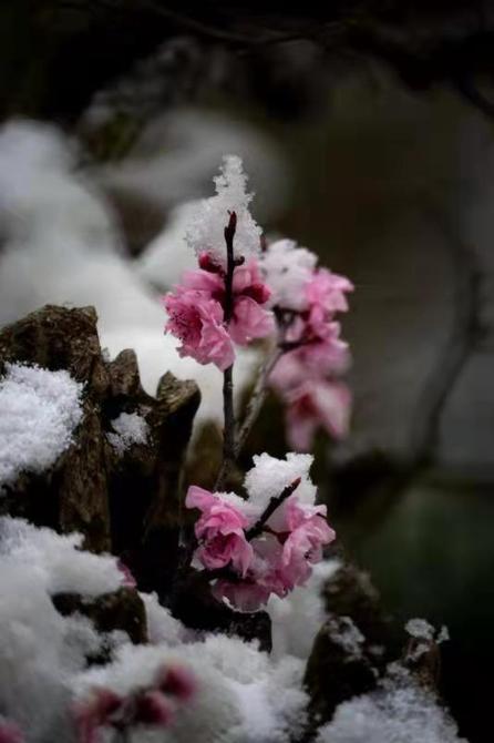 微信圖片_20220222153340 微信圖片_20220222153340