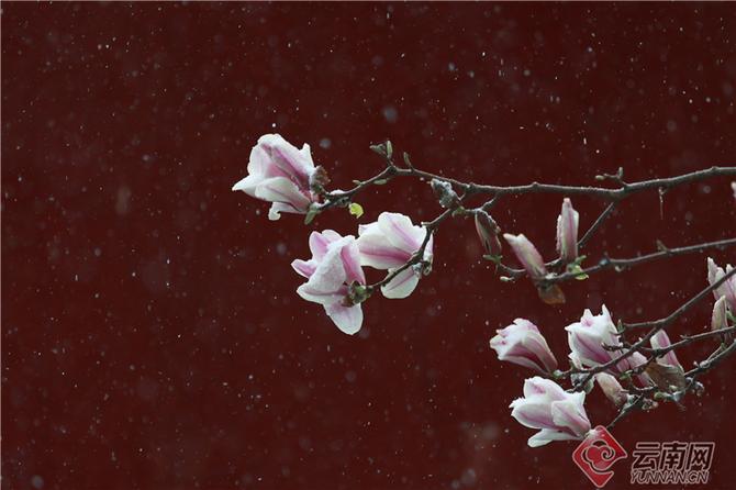 00304499984_c70de7a8 00304499984_c70de7a8