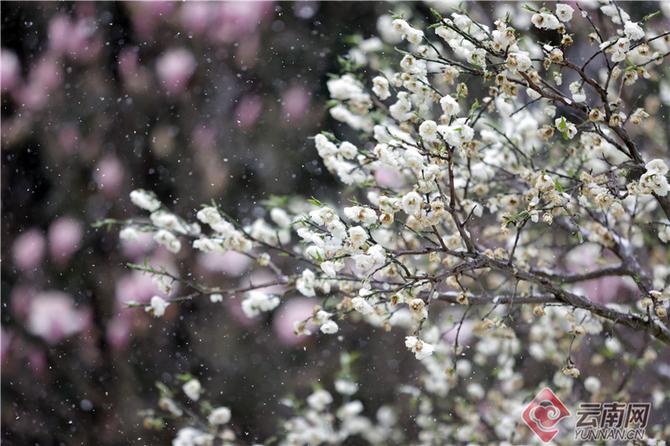 00304499983_f12a9a60 00304499983_f12a9a60