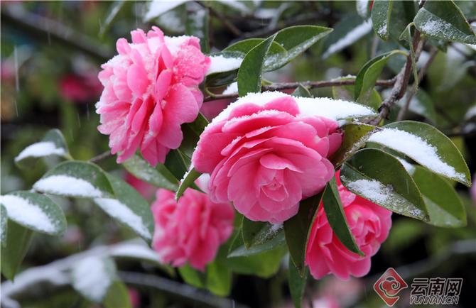 00304499982_06a4de80 00304499982_06a4de80