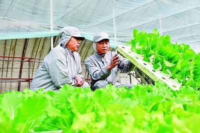 在高質(zhì)量發(fā)展中促進(jìn)共同富裕 在高質(zhì)量發(fā)展中促進(jìn)共同富裕