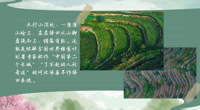 【有聲手賬】春耕時(shí)節(jié)，我們?cè)谛袆?dòng)④：“種子銀行”綠化兩千多畝梯田