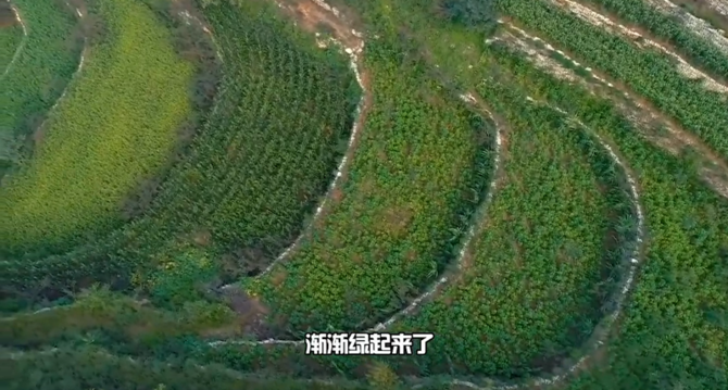 【有聲手賬】春耕時(shí)節(jié)，我們?cè)谛袆?dòng)④：“種子銀行”綠化兩千多畝梯田