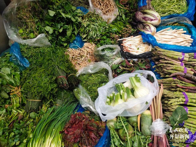 春菜（開屏新聞記者 朱婉琪 孫江葒 攝）