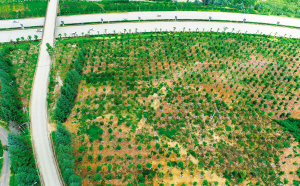 93041645726908852 93041645726908852