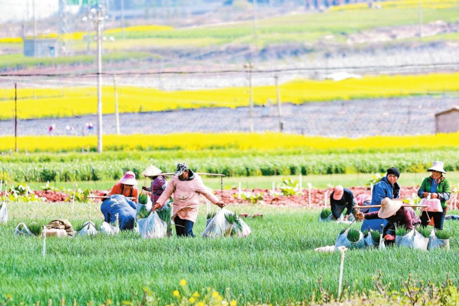 微信圖片_20220225080558 微信圖片_20220225080558