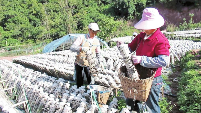 微信圖片_20220225080707 微信圖片_20220225080707