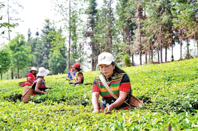 微信圖片_20220225080740 微信圖片_20220225080740