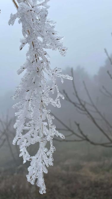 建水云龍山霧?。ūR維前 釋華祥 攝 ）