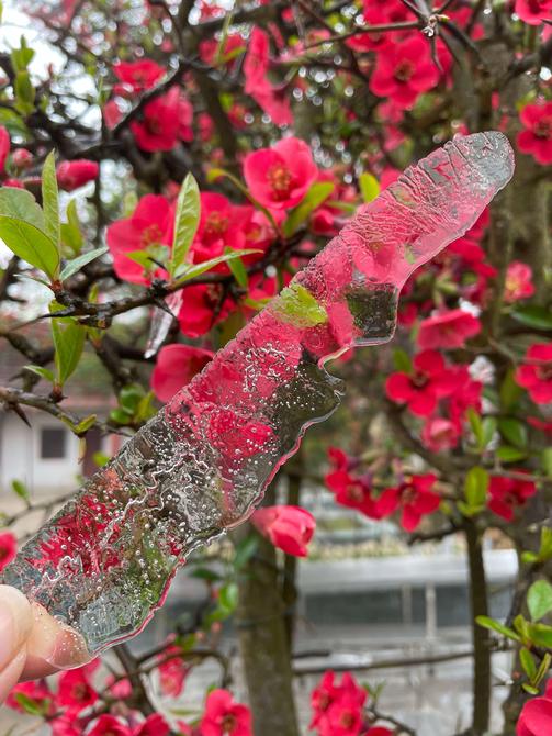 建水云龍山霧凇（盧維前 釋華祥 攝 ）