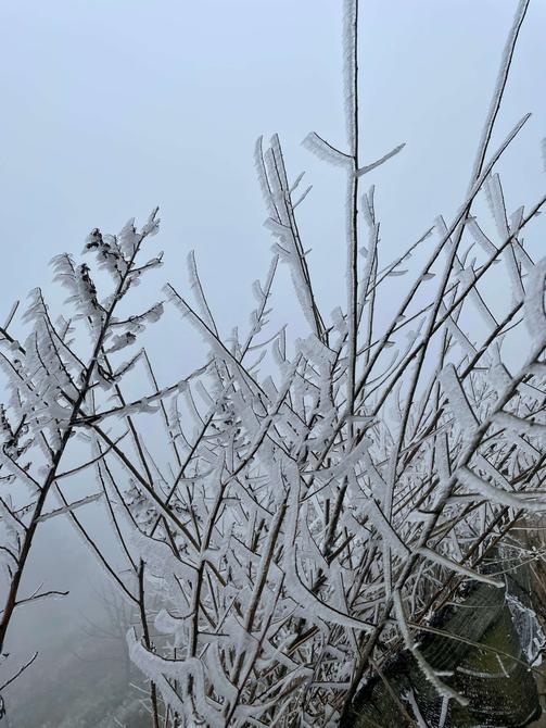 建水云龍山霧?。ūR維前 釋華祥 攝 ）