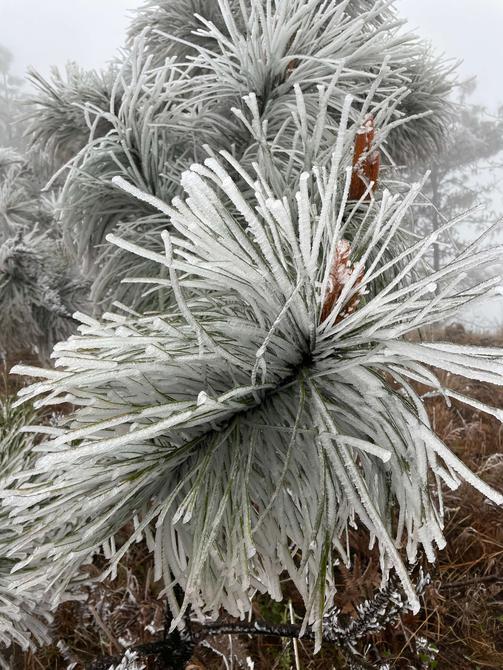 建水云龍山霧?。ūR維前 釋華祥 攝 ）