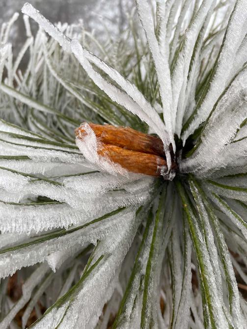 建水云龍山霧?。ūR維前 釋華祥 攝 ）