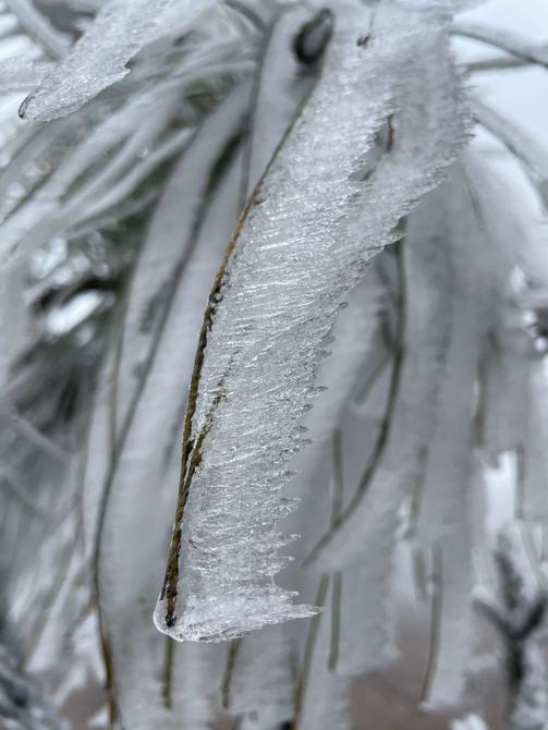 建水云龍山霧凇（盧維前 釋華祥 攝 ）