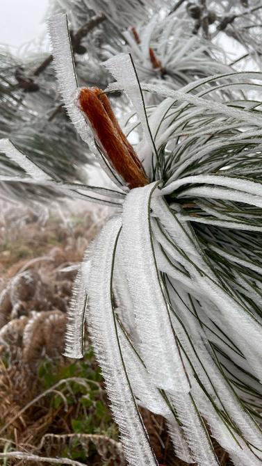 建水云龍山霧凇（盧維前 釋華祥 攝 ）