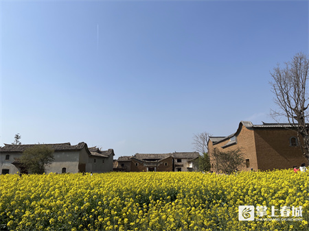 微信圖片_20220228171803