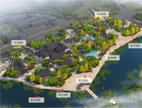 t3SeDSQDY8 t3SeDSQDY8