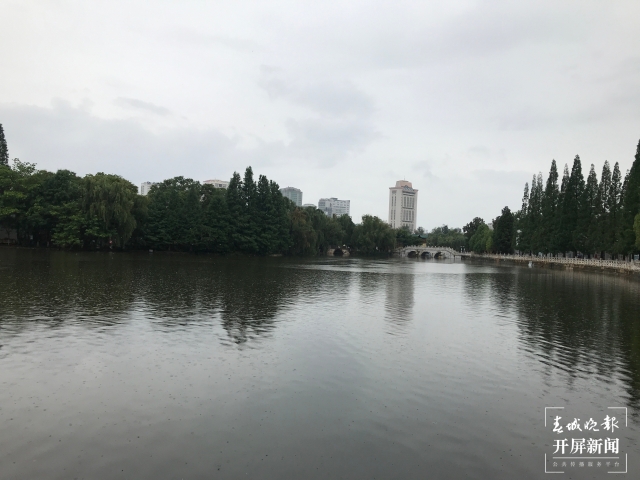 盤龍江水終于流進(jìn)翠湖（楊質(zhì)高 攝）