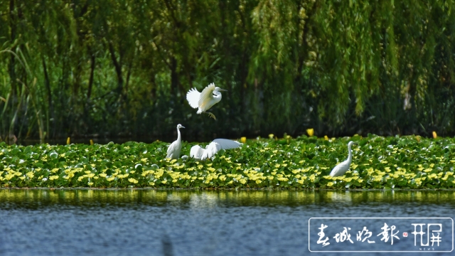 20210623220009A39NSM