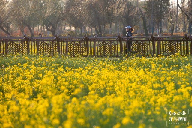 20220217193153PLGGUV