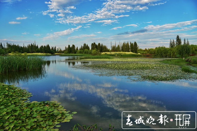 202106232201517MGE7G