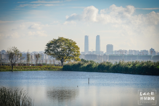 202111081920422NQ1JJ